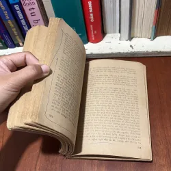 II Tiểu Thuyết Đương Đại Trung Quốc: Một Nửa Đàn Ông Là Đàn Bà - Trương Hiền Lượng - 1989 757924