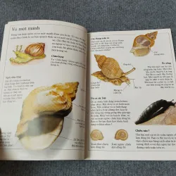 ÁO GIÁP ĐỘNG VẬT 720729