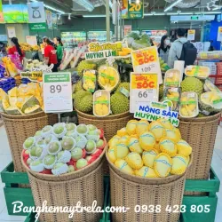 Sọt mây nhựa để trái cây hoa quả 695774