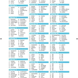 Learning vocabulary 1->6 (Sách nhập) - 6 quyển 759593