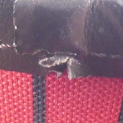 Túi xách Louis Vuitton Damier Neverfull PM N51109 - Hàng hiệu Chính hãng 801850