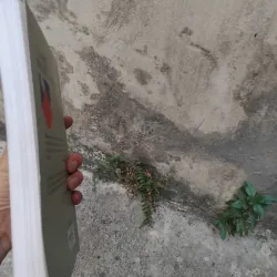 Từ kí hiệu đến biểu tượng do Trịnh Bá Đĩnh chủ biên  1006750