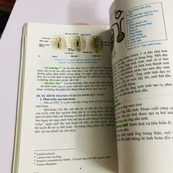 PHÔI THAI HỌC  - sách in màu, giấy bóng, 276 trang, nxb: 2020 553530