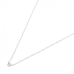 Dây chuyền Tiffany By The Yard - Hàng hiệu Authentic 841721