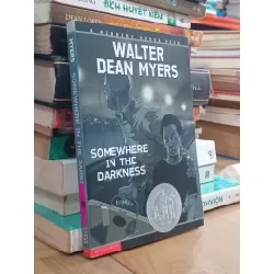 Somewhere in the darkness - Walter Dean Myers
