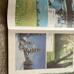 Иллюстрированный темотиЧеСкий-  словарь русского ЯЗЫКО- từ điển minh họa tiếng Nga  1003978