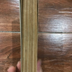 Đi thăm đất nước - Hoàng Đạo Thúy (9) 466012