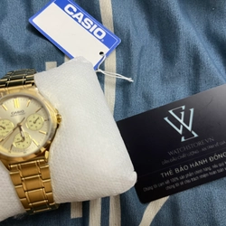 Đông hồ casio nữ, 33.2mm, LTP-V300G-9AUDF 540827