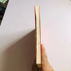 NGUYÊN TẮC KỶ LUẬT BẢN THÂN 780508