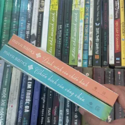 Chiến binh của công chúa 991115