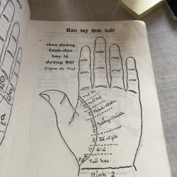 Những chỉ bí mật trong bàn tay 781035