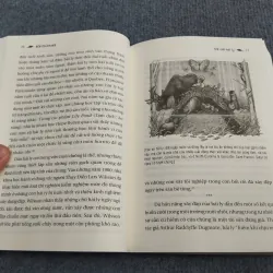 ĐẾ CHẾ HẢI LY 990661