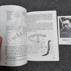 Cổ học phương đông trong nghệ thuật kiến trúc 990928