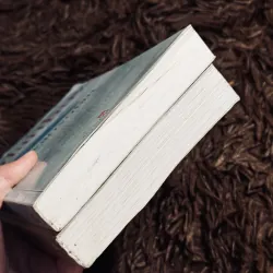 Combo 2c Đỗ Lai Thuý (có chữ ký tác giả) 1017647