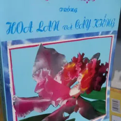 hoa lan và cây kiểng 941146