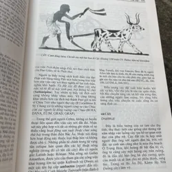 Từ điển Biểu tượng văn hoá thế giới 697935