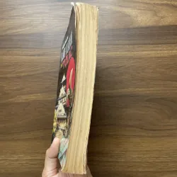 Lầu xanh và tội ác - Phùng Tinh Chí 972703