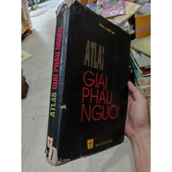 Atlas Giải Phẫu Người - Frank H.Netter. MD 360688