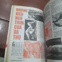 KIẾN THỨC NGÀY NAY số 219 ngày 20-8-1996 593574