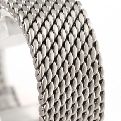 Đồng hồ tự động Shaurer Kleine Shaurer SS - Hàng hiệu Authentic 880450