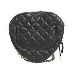 Túi xách chéo Chanel AS3191 610224