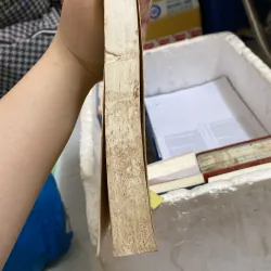 Trung y học khái luận  995554