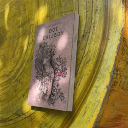 ĐỜI CALLBOY- (3)- NGUYỄN NGỌC THẠCH 706853