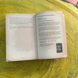 WOLFSKIN - JULIET MARILLIER 991219