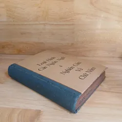 Loại Hình Các Ngôn Ngữ & Nghiên Cứu Về Chữ Nôm 736945