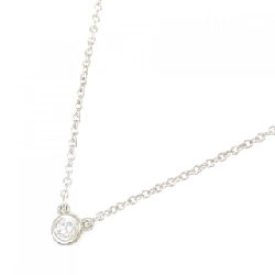 Dây chuyền Tiffany By The Yard - Hàng hiệu Authentic 842068