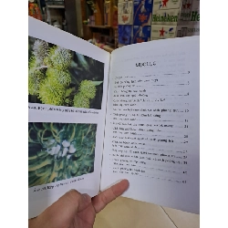 Hỏi đáp về phòng trừ dịch hại cây trồng quyển 5 cây ăn trái mới 90% Nguyễn Danh Vàn 2008 HCM0308 GIÁO TRÌNH, CHUYÊN MÔN 919339
