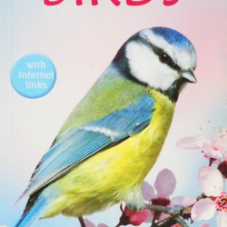 Usborne Spotter's Guides: Birds