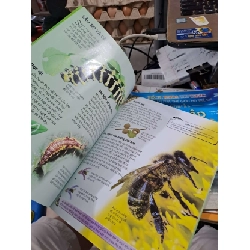 Bách Khoa Tri Thức Về Khám Phá Thế Giới Cho Trẻ Em - Các Loài Sâu Bọ - Rosie Dickins - - MẸ VÀ BÉ - HCM3012 924939