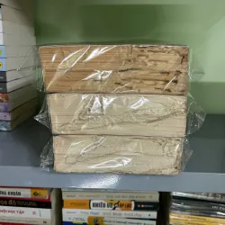 Sử ký tư mã thiên (bị mối ăn không ảnh hưởng đến chữ bên trong) 746792