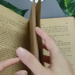 Trà Hoa Nữ 604659