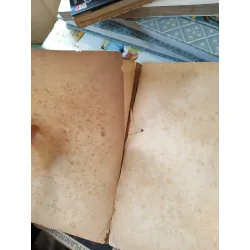 La Tulipe Noire - Alexandre Dumas 606113