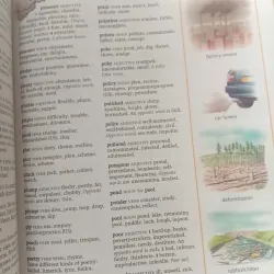 First Thesauru 1002082