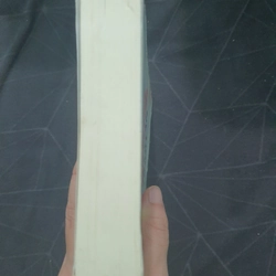 "Cuồng vọng phi nhân tính" - Lôi Mễ 498943
