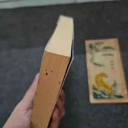 Ngày tháng thênh thang - Bửu Ý 737222