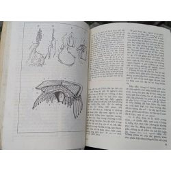 Những tiên đề của sinh học - B.M. Međnikov 126689