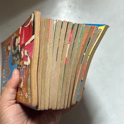 Tóc đuôi gà (Trọn bộ 13 Tập) (Co) 689780