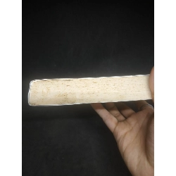 Madam Nhu Trần Lệ Xuân mới 80% HCM0203 911025