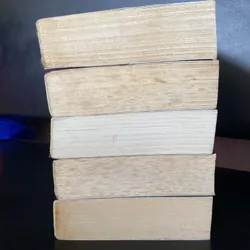 Tử Thư Tây Hạ full 5 tập  740596