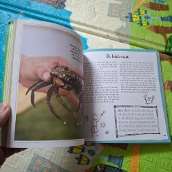 101 Trò Chơi Sáng Tạo Cho Trẻ - Hoạt Động Ngoài Trời 790254