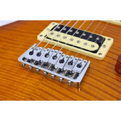 GUITAR ĐIỆN PAUL REED SMITH SE CUSTOM 24 7-STRING - Hàng hiệu Authentic 878974