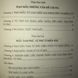Đạo Mẫu Việt Nam  751404