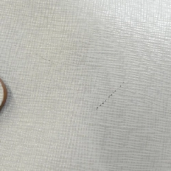 Túi Prada B2442B 614473