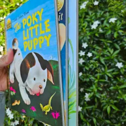 COMBO "GÁY VÀNG" HUYỀN THOẠI - LITTLE GOLDEN BOOKS 995247