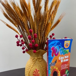 10 VẠN CÂU HỎI VÌ SAO 458161