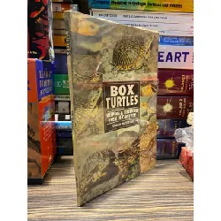 Box Turtles - Jordan Patterson